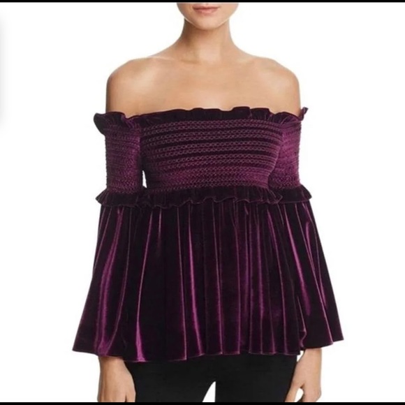 Petersyn Tops - Petersyn Davenport Mulberry Velvet Top Size XS Extra Small New NWT Reg $295